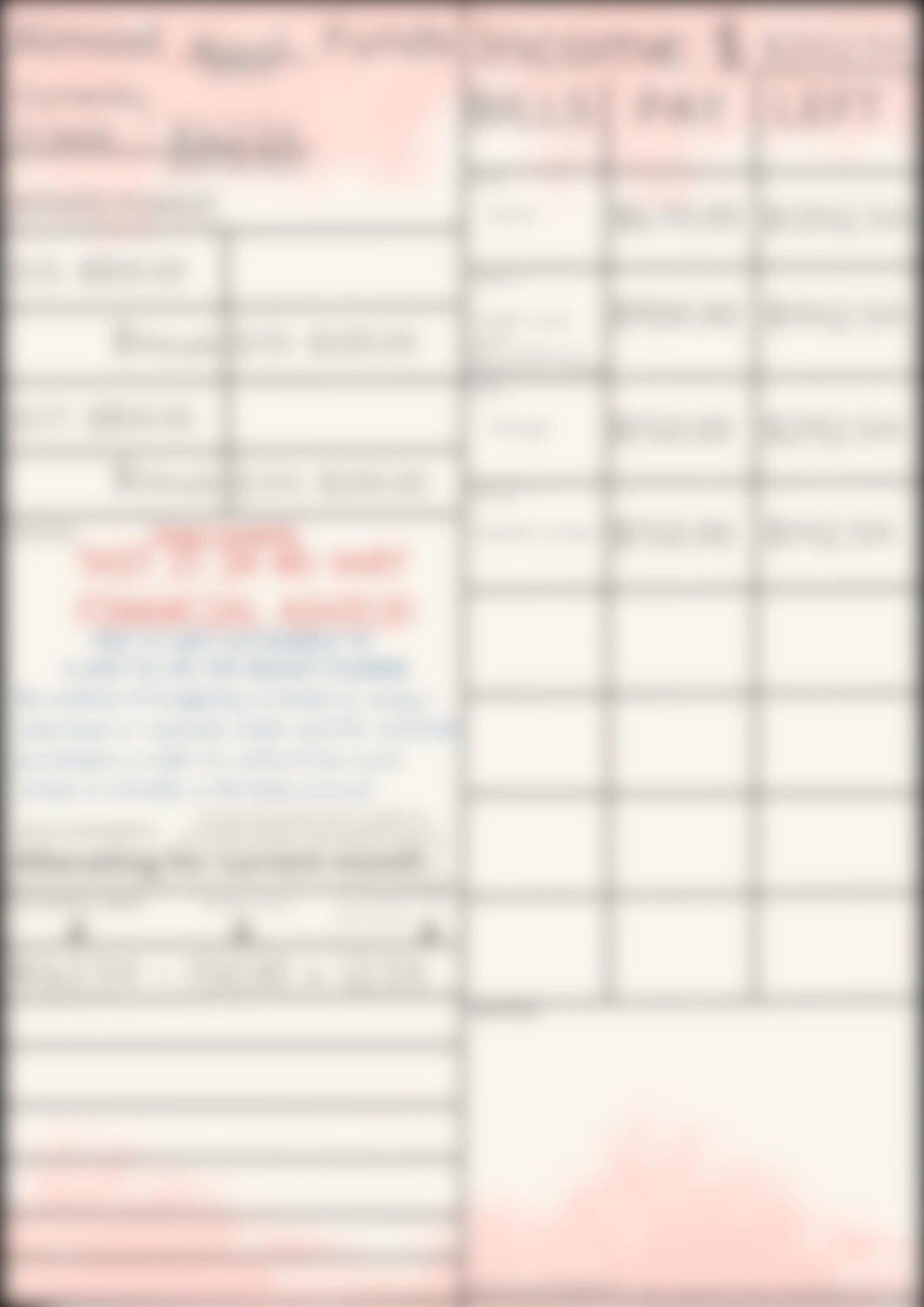 Monthly Budget Planner - Pink