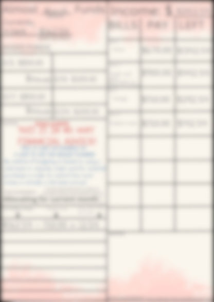 Monthly Budget Planner - Pink