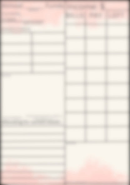 Monthly Budget Planner - Pink